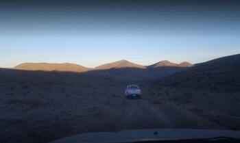 En la reserva conviven especies