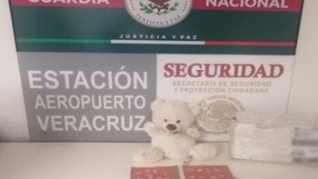 Guardia Nacional decomisó un oso