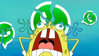 MEMES a la caída de