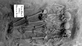 Una muestra de ADN demuestra la evidencia más antigua de peste: un brote en Siberia hace 5.500 años infectó a cazadores-recolectores y afectó sobre todo a niños