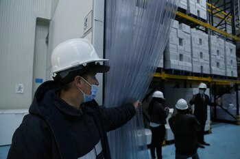 Bogotá. Enero 19 de 2021.