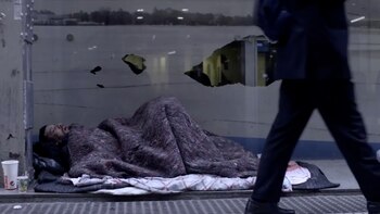 ¿Con qué sueñan los que