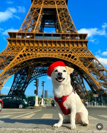 El encuentro con Elko inspiró