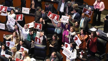 El Senado de la República