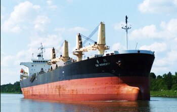 Tal vez le pareció un