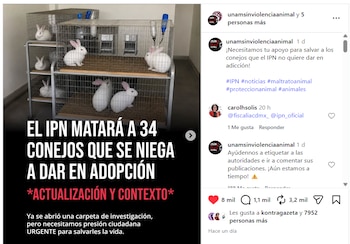 El colectivo UNAM Sin Violencia Animal denunció irregularidades en el caso