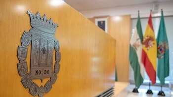 El Pleno de Diputación aborda