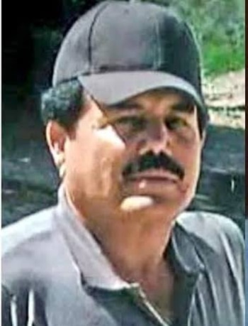 Estas son todas las fotos