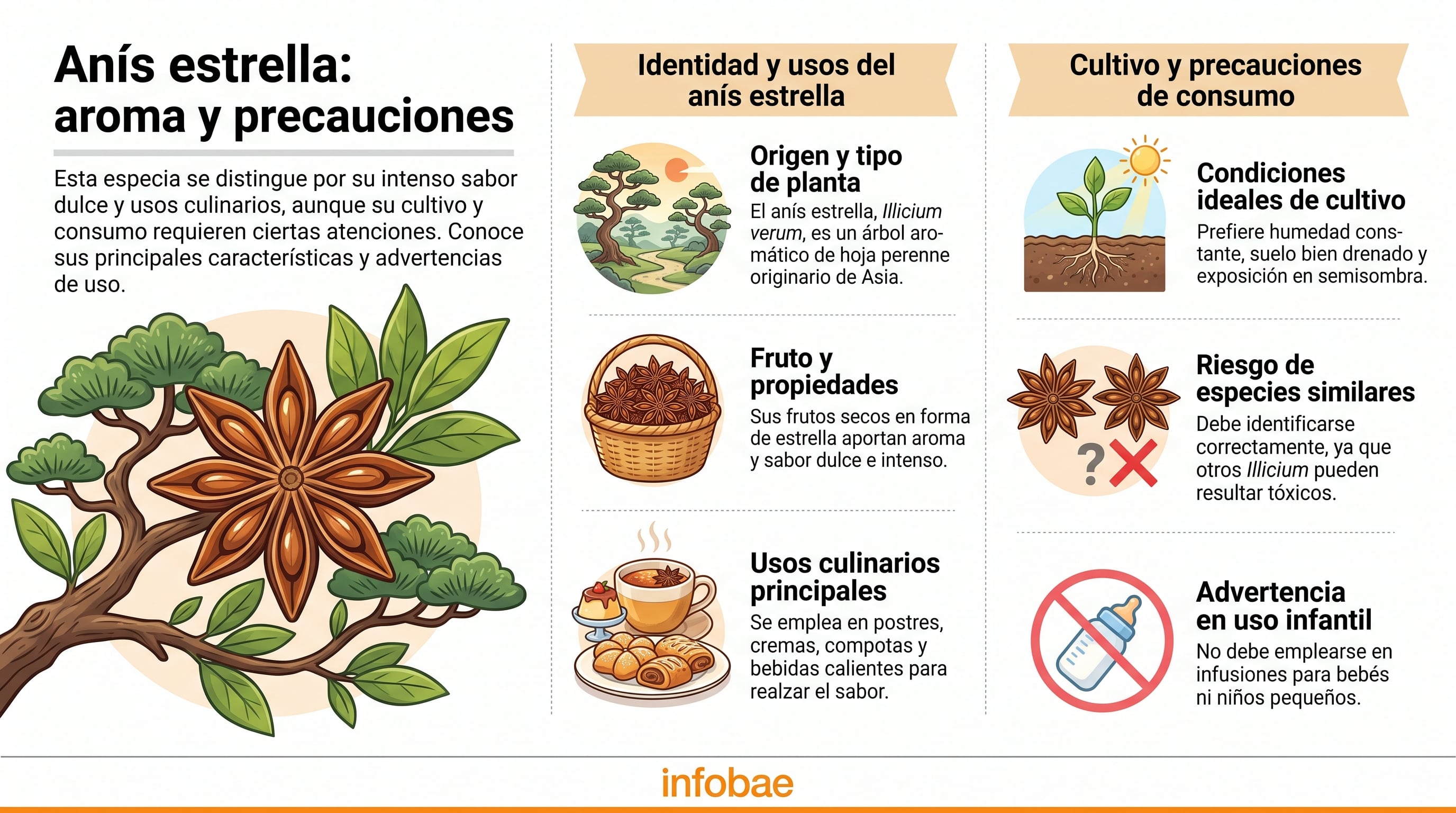Características, usos culinarios y precauciones en el consumo del anís estrella. (Imagen Ilustrativa Infobae)