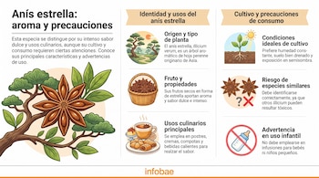 Infografía con ilustraciones de un fruto de anís estrella, plantas, un cesto, postres, bebidas y símbolos de advertencia acompañados de texto.