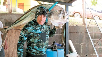 En Nicaragua, Casimirri tiene vida publica activa. Aficionado al buceo, montó un restaurante de mariscos con los productos que el mismo pesca. (Cortesía La Prensa/Nicaragua)