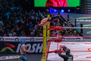 (CMLL / Diego Cedrix)
