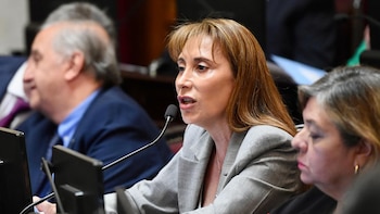 Pelea por los despachos en el Senado: archivaron la denuncia de una senadora de Tierra del Fuego