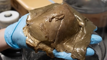 Orbe dorado de Alaska