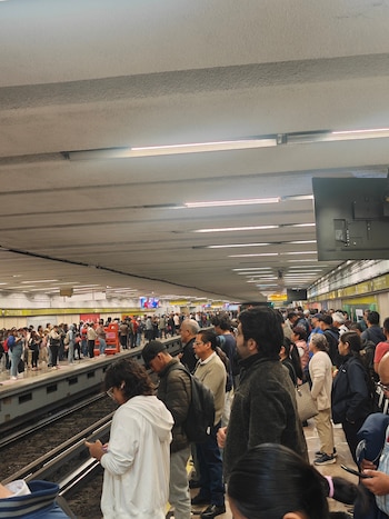 Avance en tiempo real de las diversas líneas de la red de transporte público capitalino.
