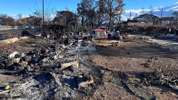 La adaptación, el asunto eclipsado