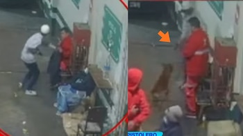 Choco fue herido al intentar