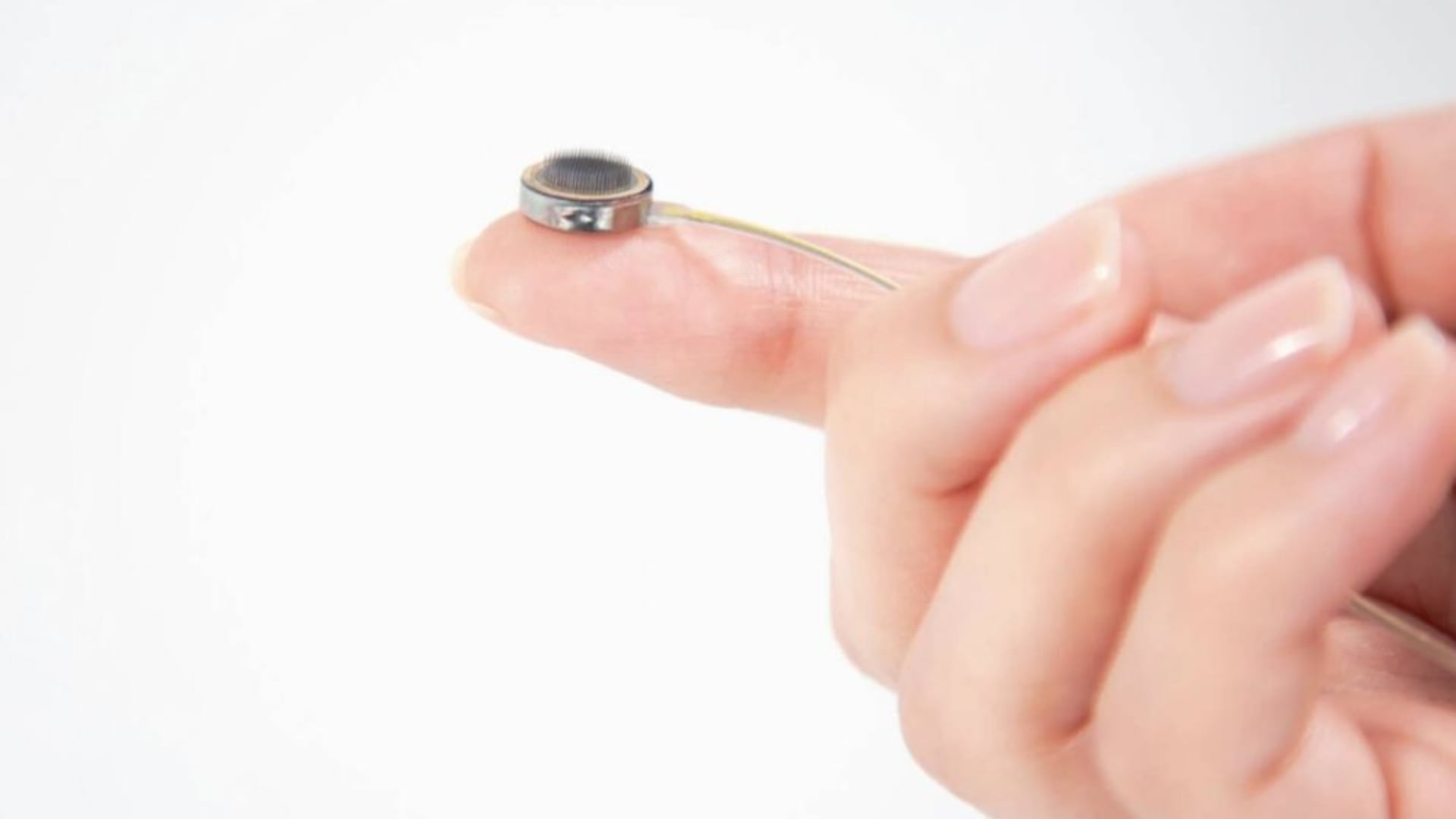 Un chip cerebral ya cuenta con permiso para implantes comerciales. (Paradromics)