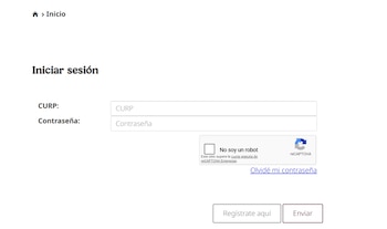 Para ingresar al portal es necesario contar con CURP. (Captura de pantalla)