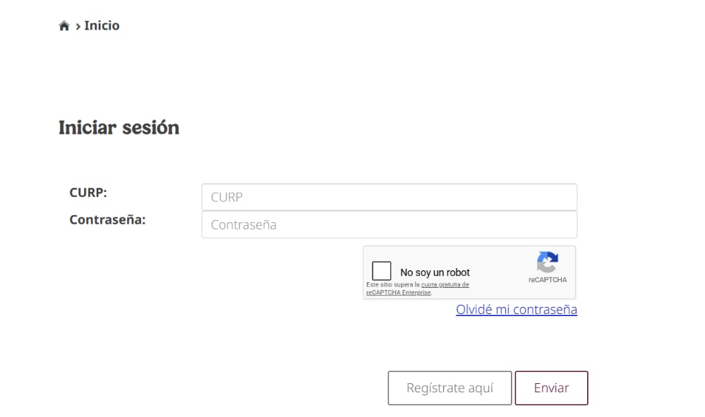 Para ingresar al portal es necesario contar con CURP. (Captura de pantalla)