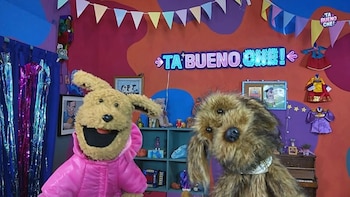 Patricio Noé Crom está detrás de Pache y Plumis y sostiene Ta Bueno Che solo desde su casa, donde transmite, edita y maneja las redes sociales