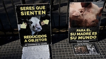 Los activistas de 2019 usaron