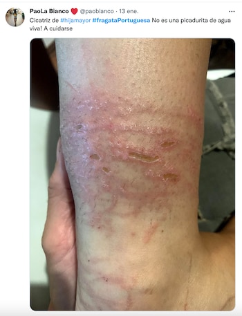 Un usuario de Twitter compartió