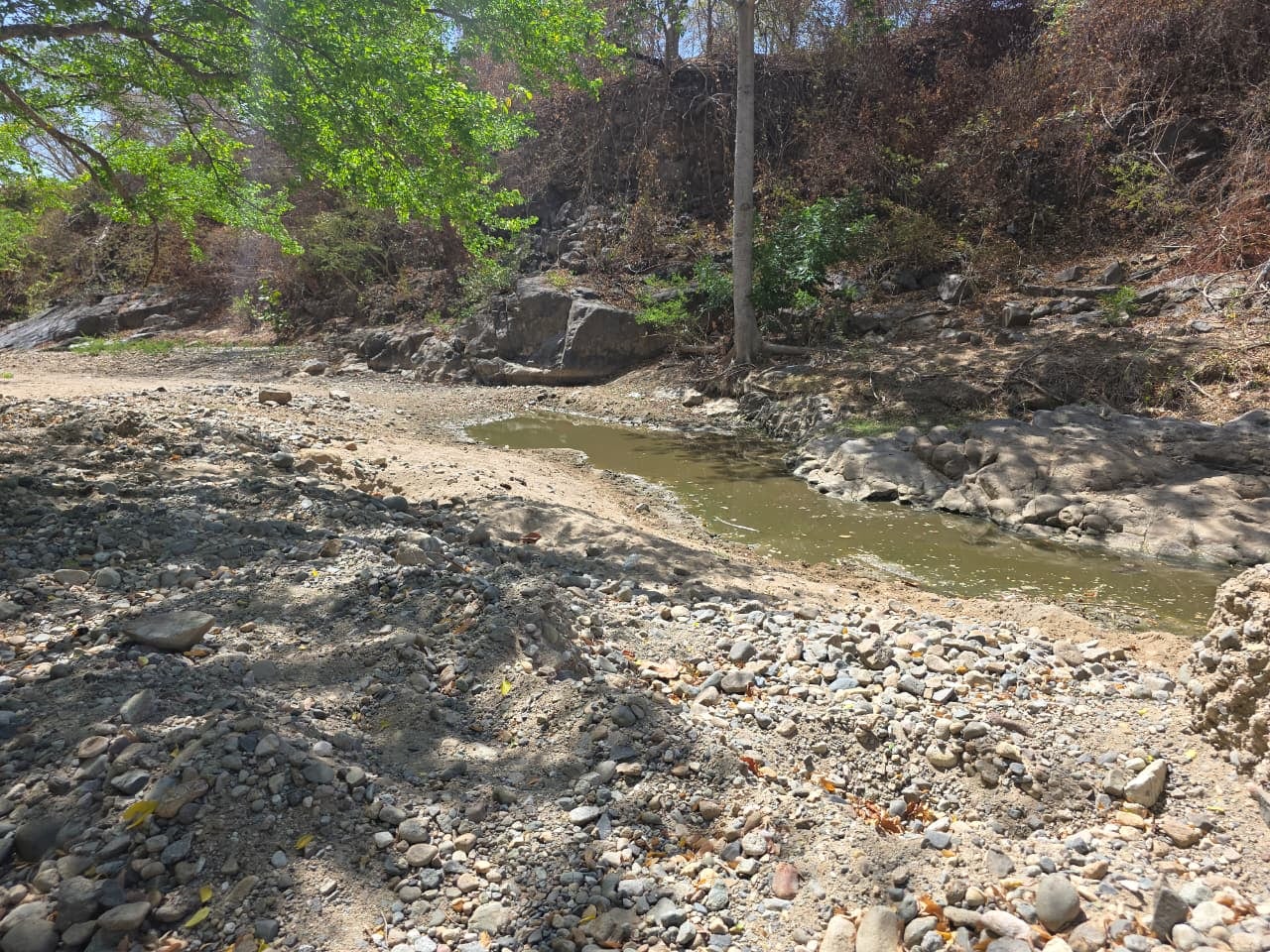 La sequía en El Triunfo, Choluteca, redujo la producción de los pozos y dejó sin funcionamiento otras fuentes de agua.(Oscar Ortiz)