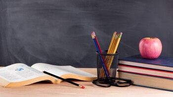 “Soy maestra y ya no