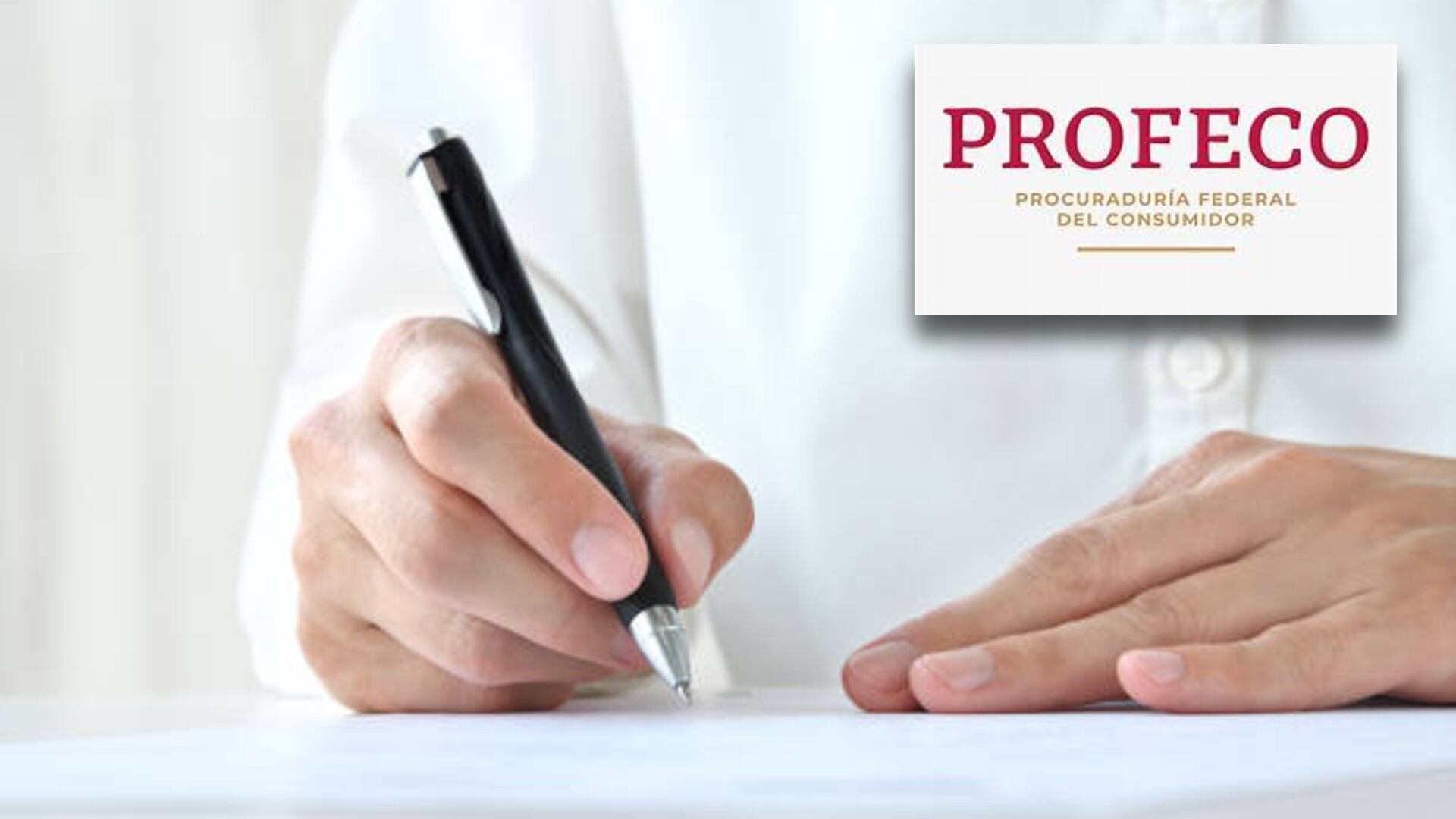 Este regreso a clases, las plumas son parte esencial de los útiles de los estudiantes. Diseño: (Jesús Tovar Sosa/Infobae)