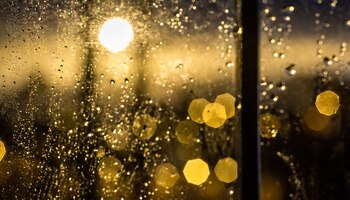 Temperatura, probabilidad de lluvia, nubosidad