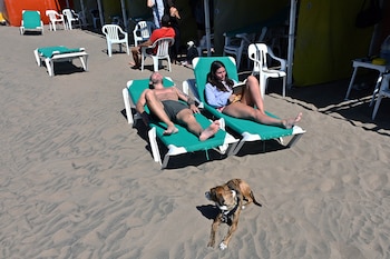 Testimonios de turistas y residentes