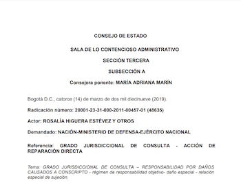 El Concejo de Estado resolvió