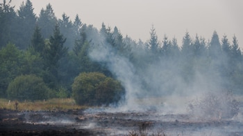 Alemania ordena evacuar parcialmente Monschau, fronteriza con Bélgica, por el gran incendio de Hautes Fagnes
