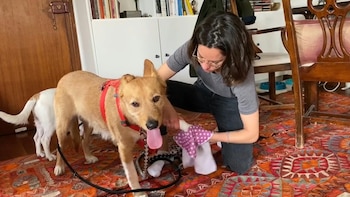 No se debe usar detergente