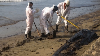 CAF donará 250.000 dólares a