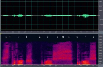 Espectrograma. (foto: Steinberg)