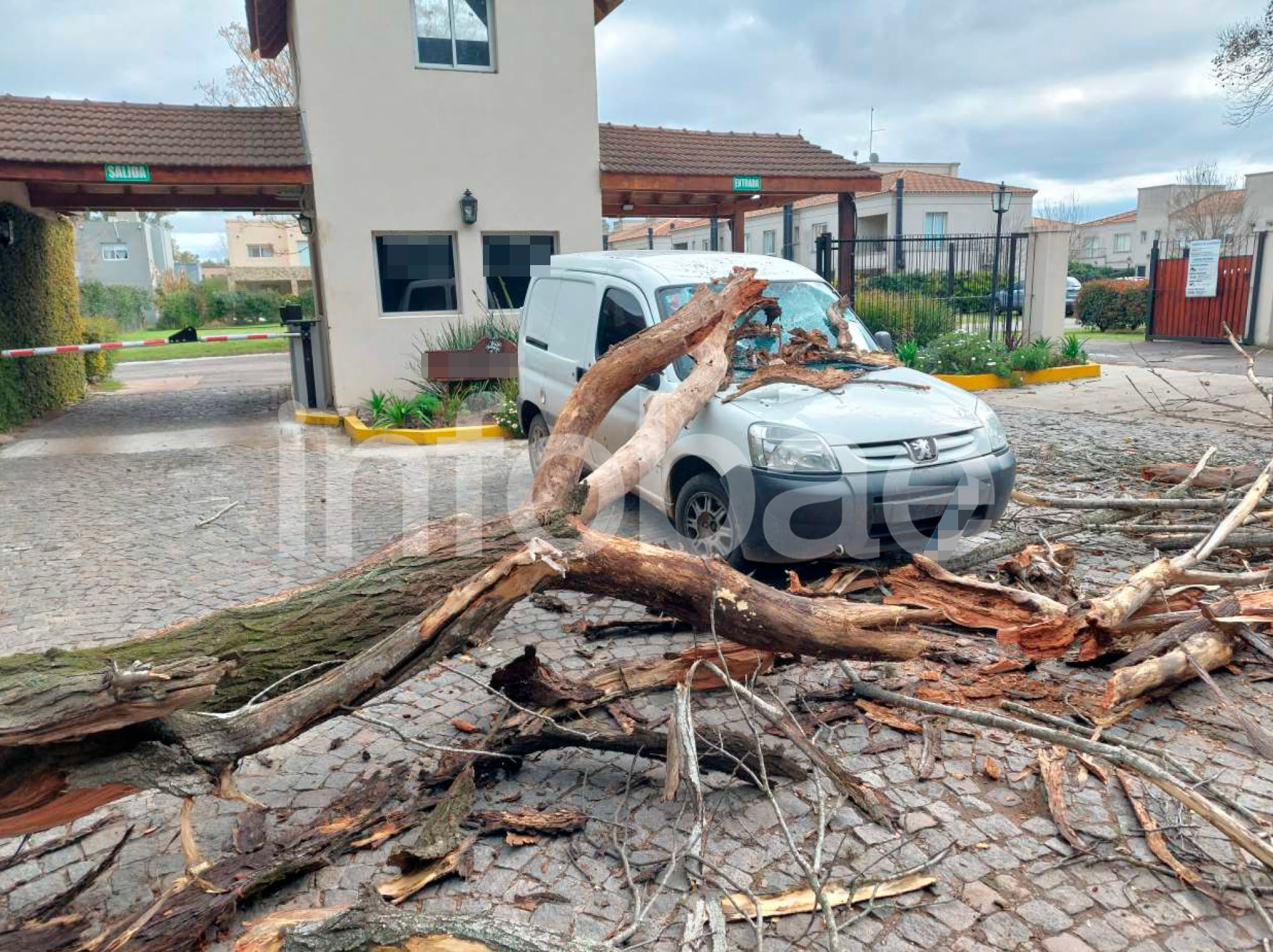 La pericia mecánica concluyó que los daños eran compatibles con la caída de un árbol seco y calculó una reparación superior a los dos millones y medio de pesos. (Poder Judicial)