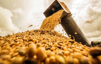 Las dudas sobre los volúmenes