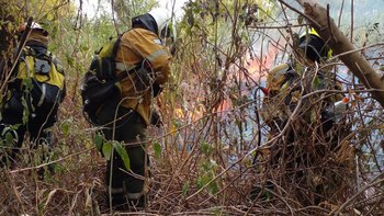 Un incendio en la isla