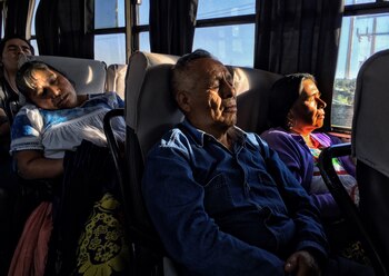 Los adultos mayores de 65