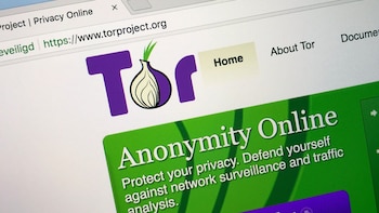 Piratas informáticos secuestraron 333 nodos de salida de la red Tor para robar contraseñas