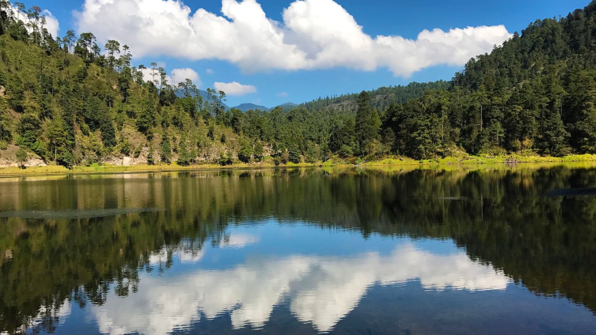 El municipio de Huitzilac aporta recursos hídricos a la Zona Metropolitana del Valle de México desde el Parque Nacional Lagunas de Zempoala. (Secretaría de Economía)