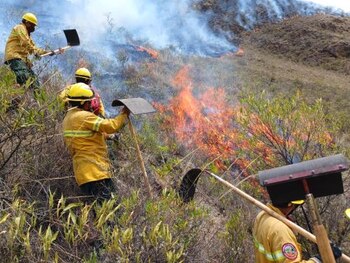 Camino Inca con dirección a