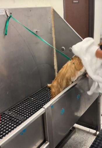 Dijo que no siempre los