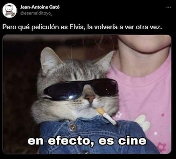 (Foto: Twitter/@esemalditoyo)