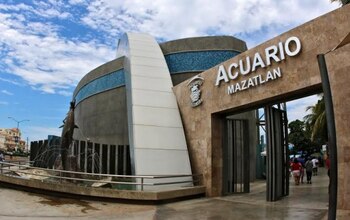 En Acuario Mazatlán vivirás una