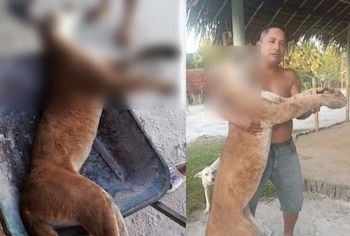 Los sujetos posaron con el