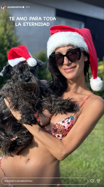 Mujer con pelo oscuro, gafas de sol y bikini, sostiene un perro schnauzer negro, ambos con gorros de Papá Noel. Fondo verde borroso