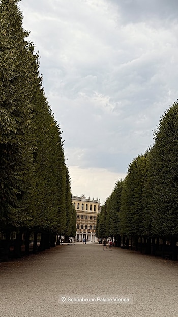 Camino de grava flanqueado por dos hileras de árboles altos y un palacio histórico al fondo, bajo cielo nublado, con personas caminando
